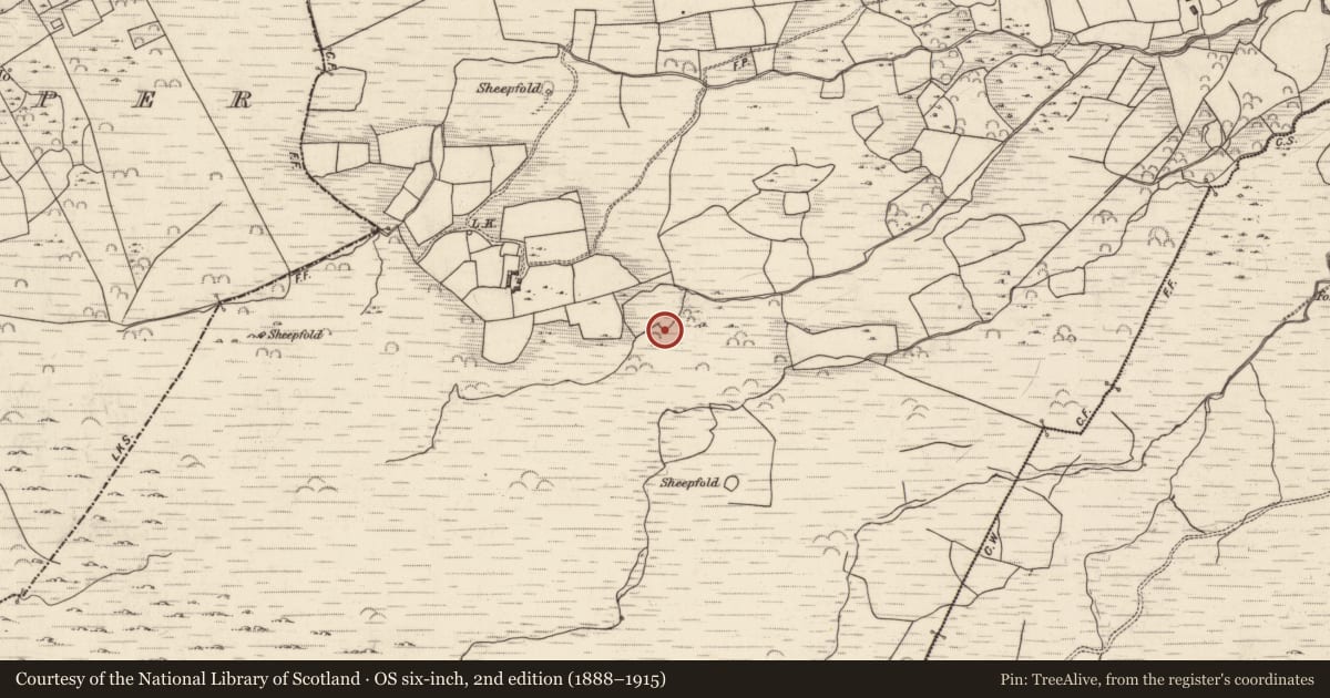 Ordnance Survey six-inch map, 2nd edition (1888–1915) covering the location of Field boundary, Lounaghan, County Kerry, with a pin at the register's coordinates