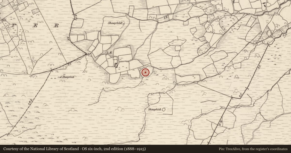 Ordnance Survey six-inch map, 2nd edition (1888–1915) covering the location of Standing stone, Lounaghan, County Kerry, with a pin at the register's coordinates