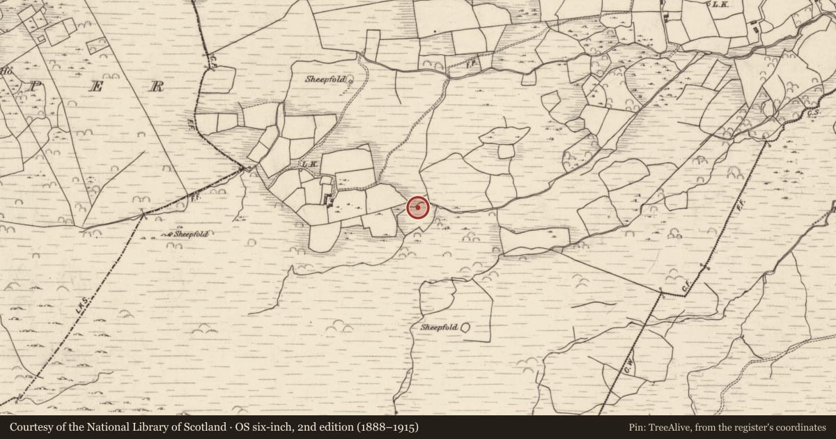 Ordnance Survey six-inch map, 2nd edition (1888–1915) covering the location of Fulacht fia, Lounaghan, County Kerry, with a pin at the register's coordinates