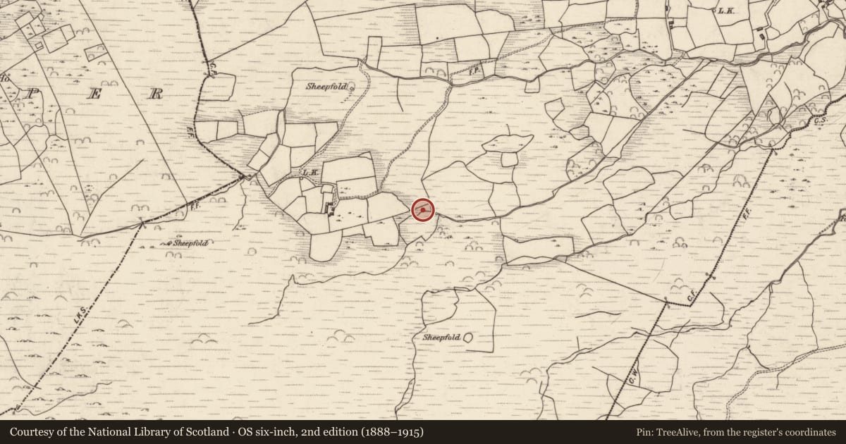 Ordnance Survey six-inch map, 2nd edition (1888–1915) covering the location of Fulacht fia, Lounaghan, County Kerry, with a pin at the register's coordinates
