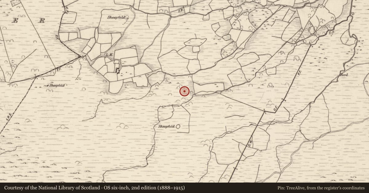 Ordnance Survey six-inch map, 2nd edition (1888–1915) covering the location of Cairn - unclassified, Lounaghan, County Kerry, with a pin at the register's coordinates