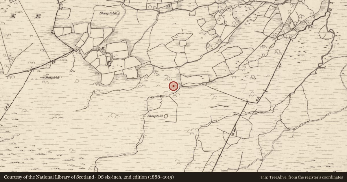 Ordnance Survey six-inch map, 2nd edition (1888–1915) covering the location of Cairn - unclassified, Lounaghan, County Kerry, with a pin at the register's coordinates