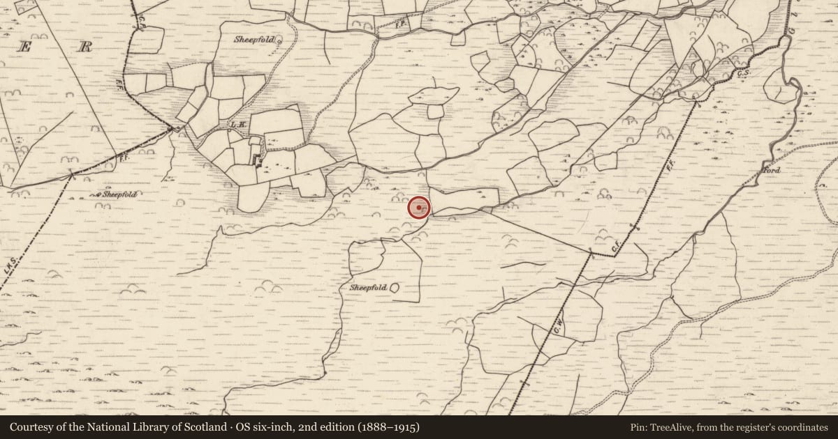 Ordnance Survey six-inch map, 2nd edition (1888–1915) covering the location of Cairn - unclassified, Lounaghan, County Kerry, with a pin at the register's coordinates