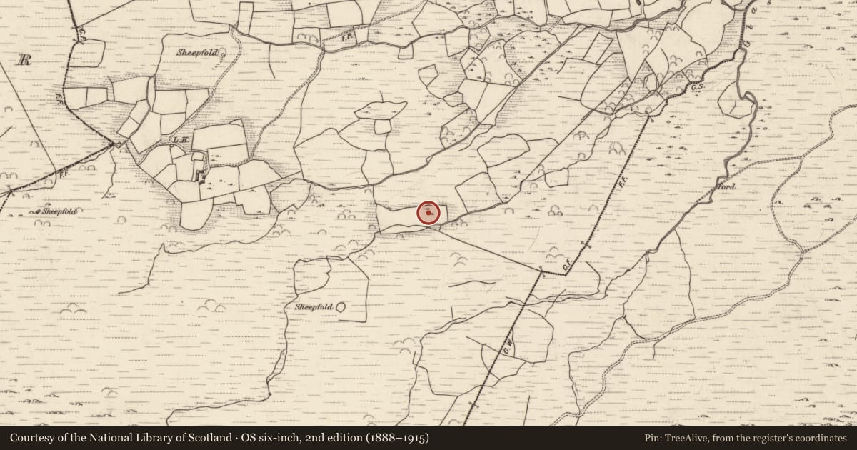 Ordnance Survey six-inch map, 2nd edition (1888–1915) covering the location of Enclosure, Lounaghan, County Kerry, with a pin at the register's coordinates