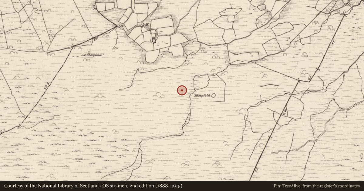 Ordnance Survey six-inch map, 2nd edition (1888–1915) covering the location of Standing stone, Lounaghan, County Kerry, with a pin at the register's coordinates