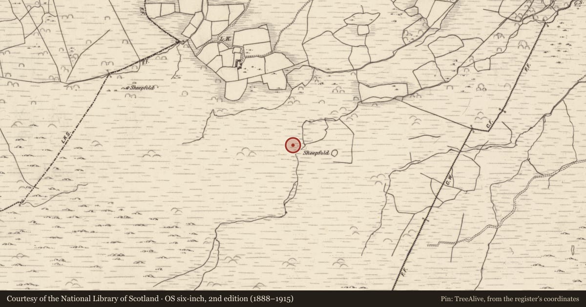 Ordnance Survey six-inch map, 2nd edition (1888–1915) covering the location of Standing stone, Lounaghan, County Kerry, with a pin at the register's coordinates