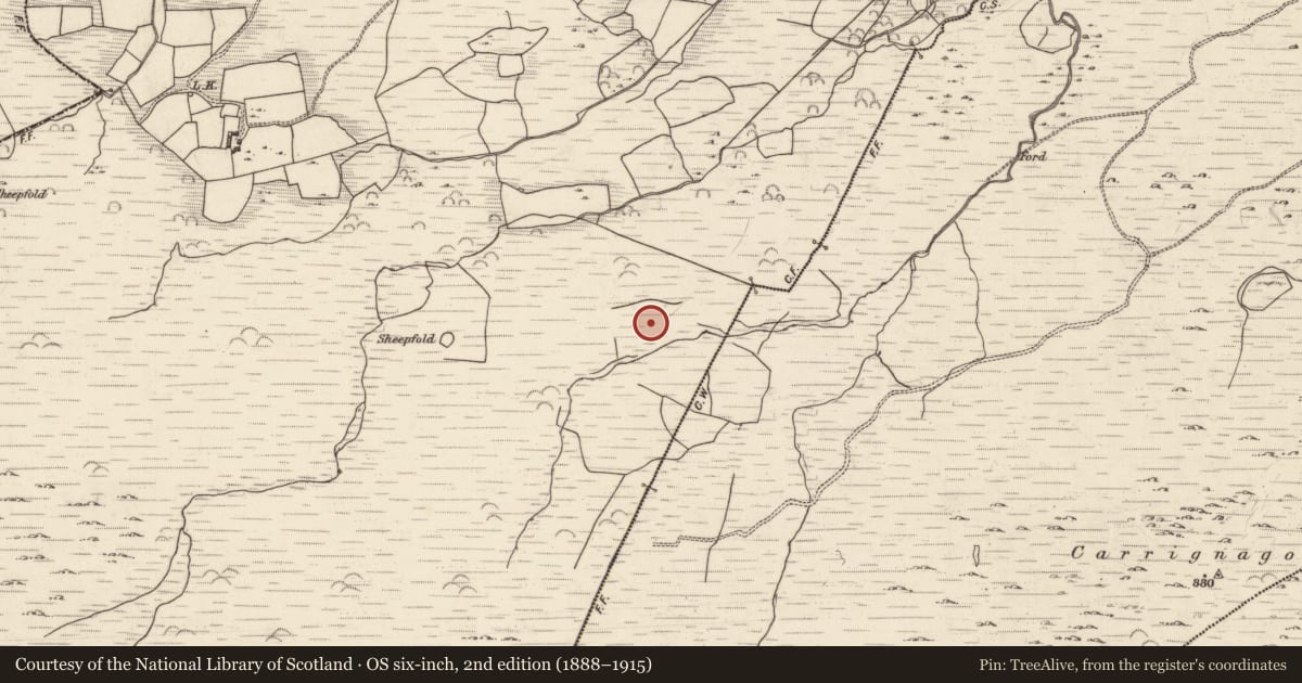 Ordnance Survey six-inch map, 2nd edition (1888–1915) covering the location of Cairn - unclassified, Lounaghan, County Kerry, with a pin at the register's coordinates
