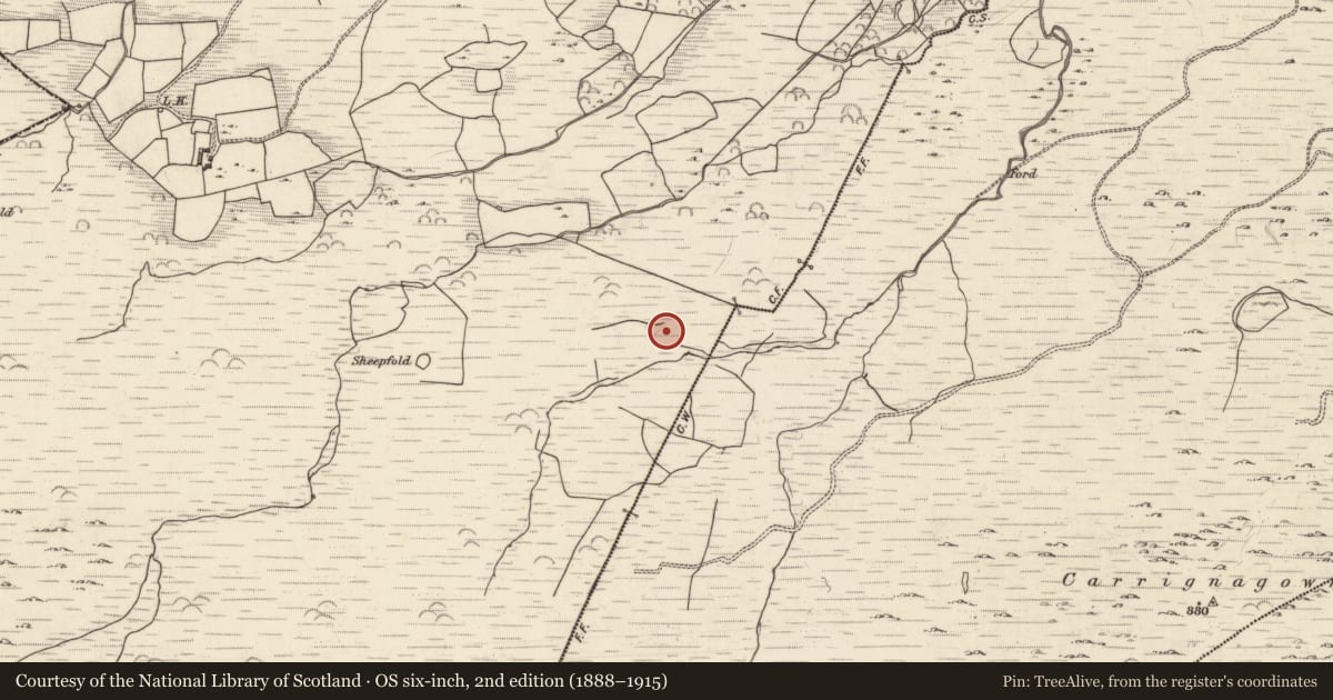 Ordnance Survey six-inch map, 2nd edition (1888–1915) covering the location of Field boundary, Lounaghan, Slaheny, County Kerry, with a pin at the register's coordinates