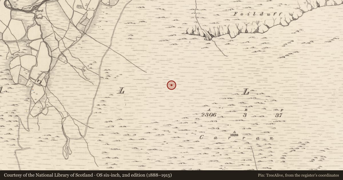 Ordnance Survey six-inch map, 2nd edition (1888–1915) covering the location of Hut site, Ballagh, County Kerry, with a pin at the register's coordinates