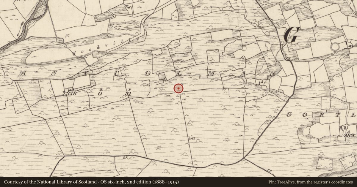 Ordnance Survey six-inch map, 2nd edition (1888–1915) covering the location of Cairn - unclassified, Dromnycolman, County Kerry, with a pin at the register's coordinates