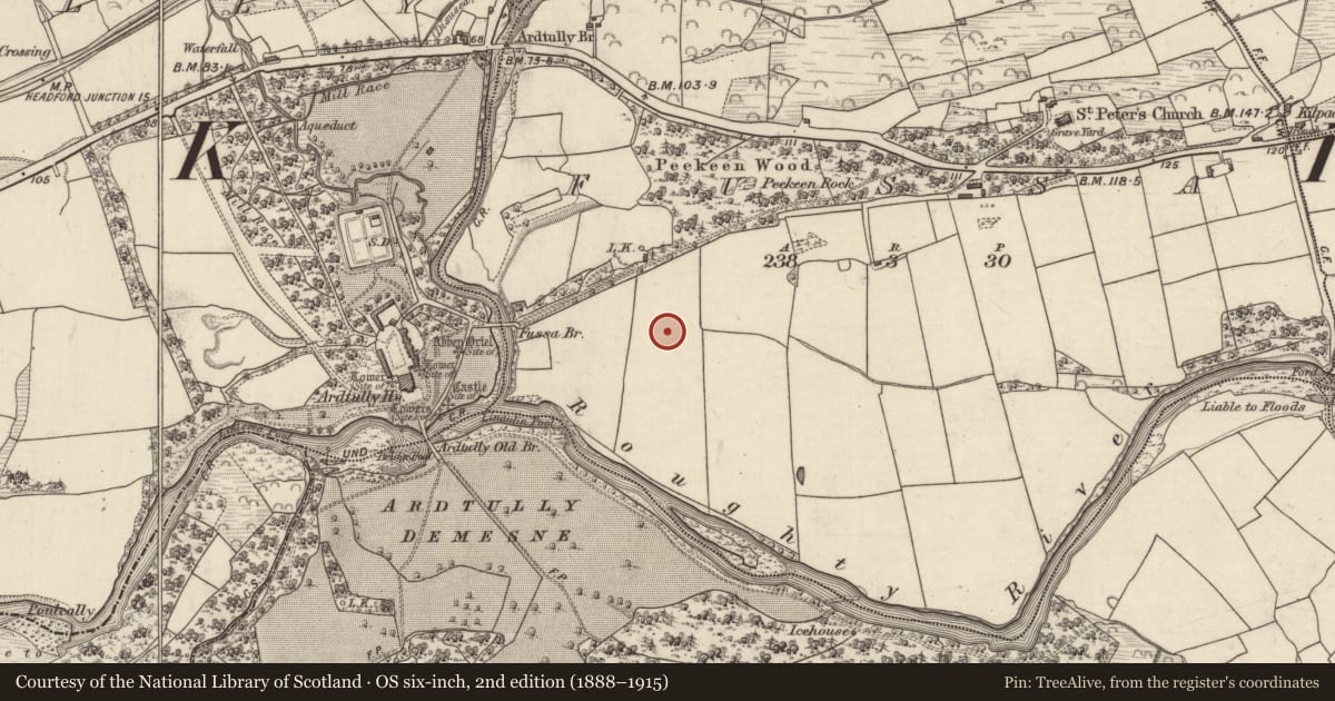Ordnance Survey six-inch map, 2nd edition (1888–1915) covering the location of Standing stone, Fussa, County Kerry, with a pin at the register's coordinates
