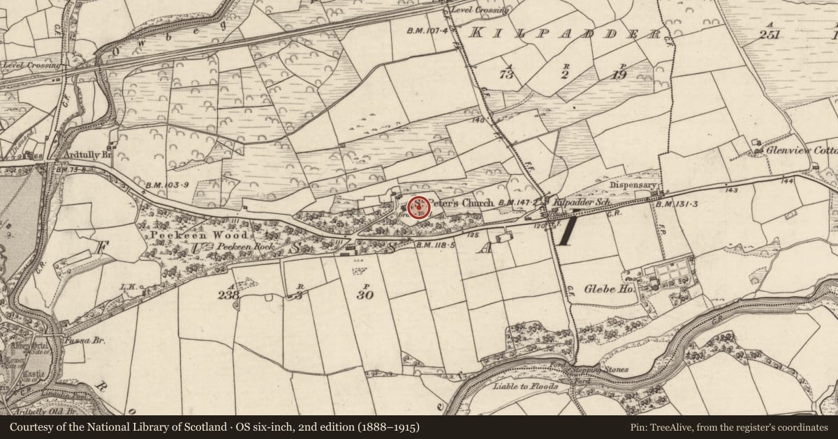 Ordnance Survey six-inch map, 2nd edition (1888–1915) covering the location of Graveyard, Fussa, County Kerry, with a pin at the register's coordinates