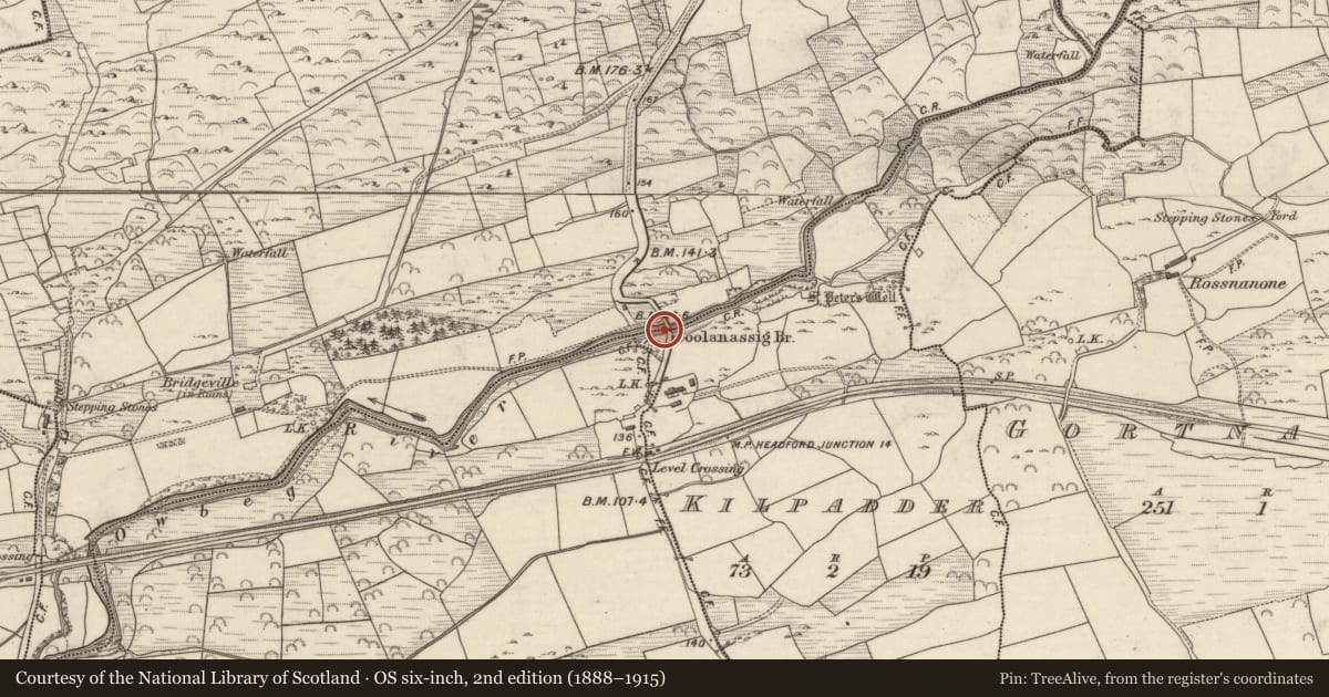 Ordnance Survey six-inch map, 2nd edition (1888–1915) covering the location of Bridge, Kilpadder, Slaght, County Kerry, with a pin at the register's coordinates
