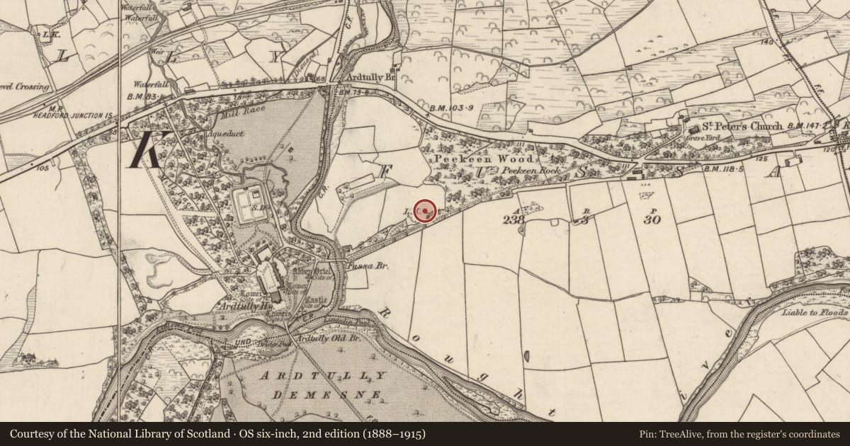 Ordnance Survey six-inch map, 2nd edition (1888–1915) covering the location of Kiln - lime, Fussa, County Kerry, with a pin at the register's coordinates