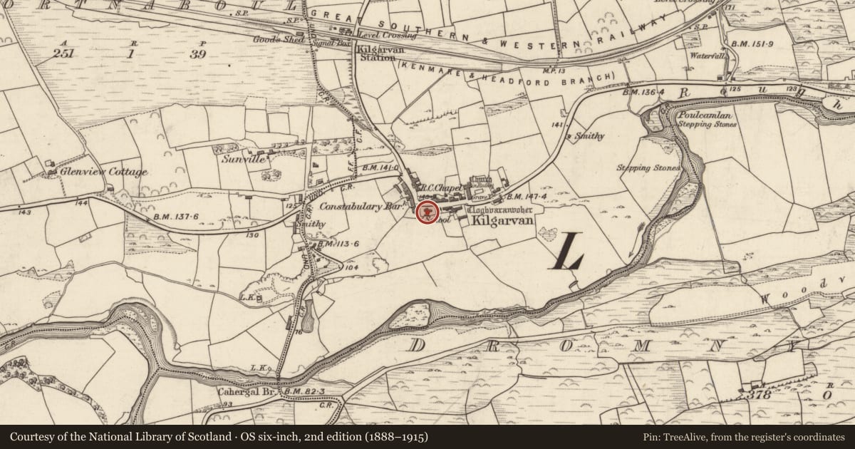 Ordnance Survey six-inch map, 2nd edition (1888–1915) covering the location of School, Churchground, County Kerry, with a pin at the register's coordinates
