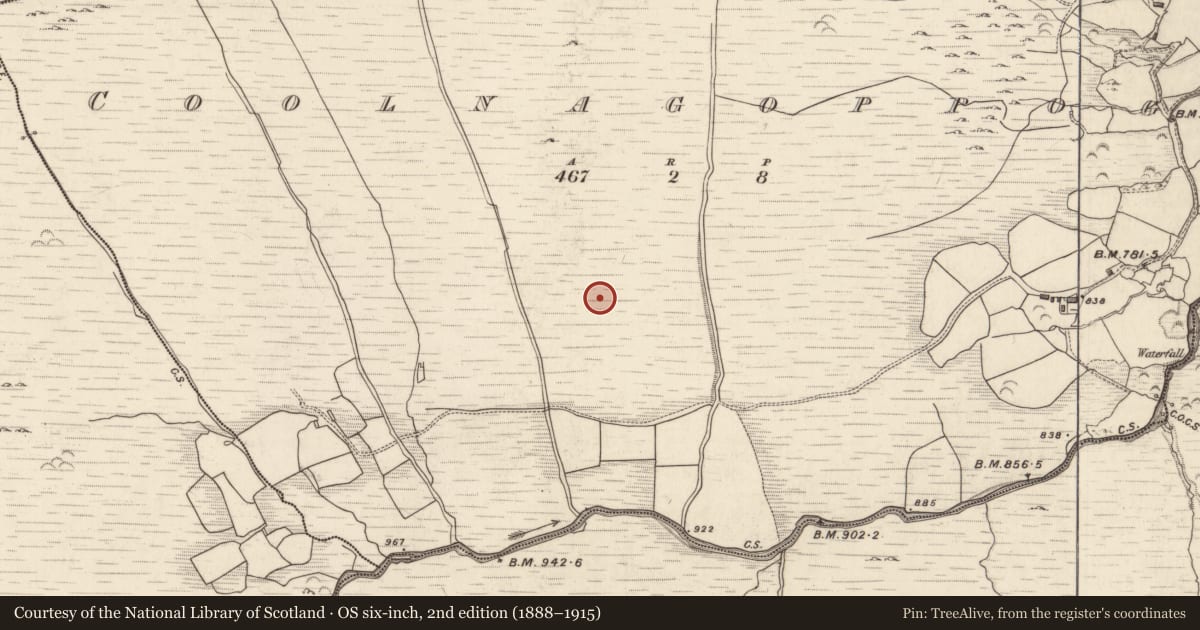 Ordnance Survey six-inch map, 2nd edition (1888–1915) covering the location of Enclosure, Coolnagoppoge, County Kerry, with a pin at the register's coordinates
