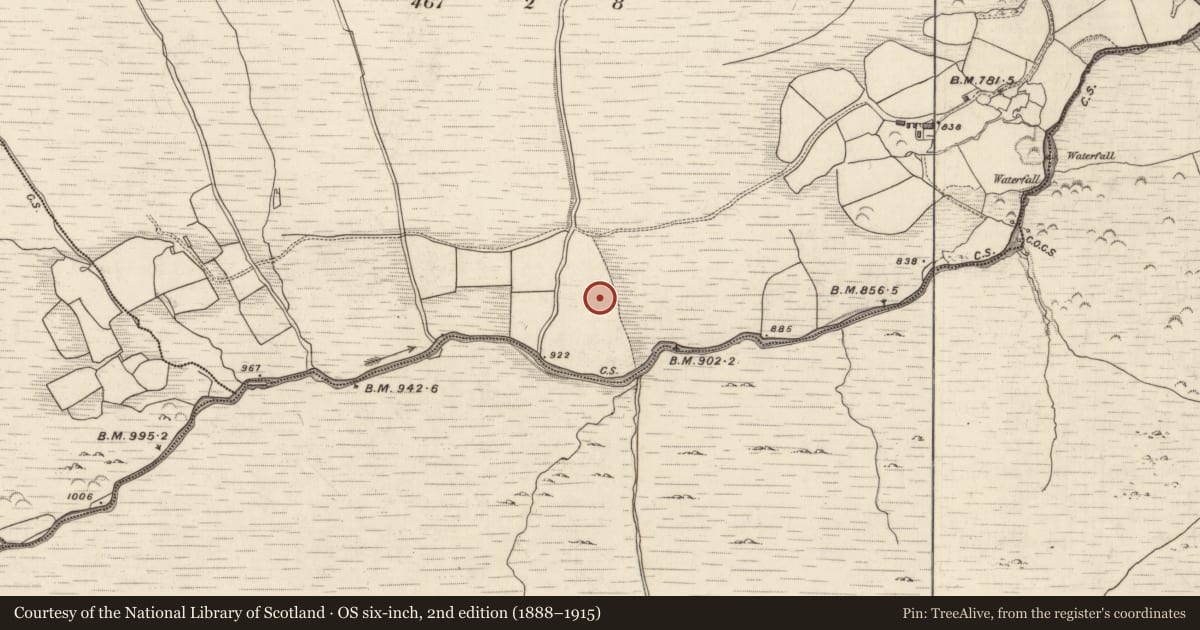 Ordnance Survey six-inch map, 2nd edition (1888–1915) covering the location of Hut site, Coolnagoppoge, County Kerry, with a pin at the register's coordinates