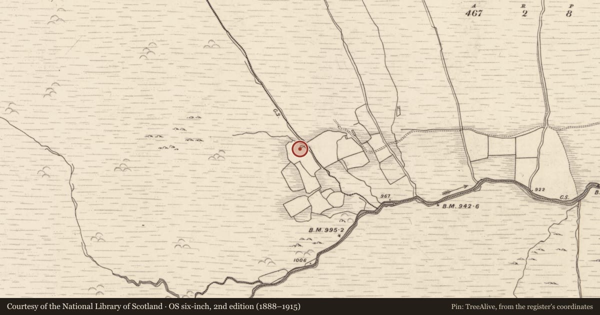 Ordnance Survey six-inch map, 2nd edition (1888–1915) covering the location of Hut site, Barnastooka, County Kerry, with a pin at the register's coordinates
