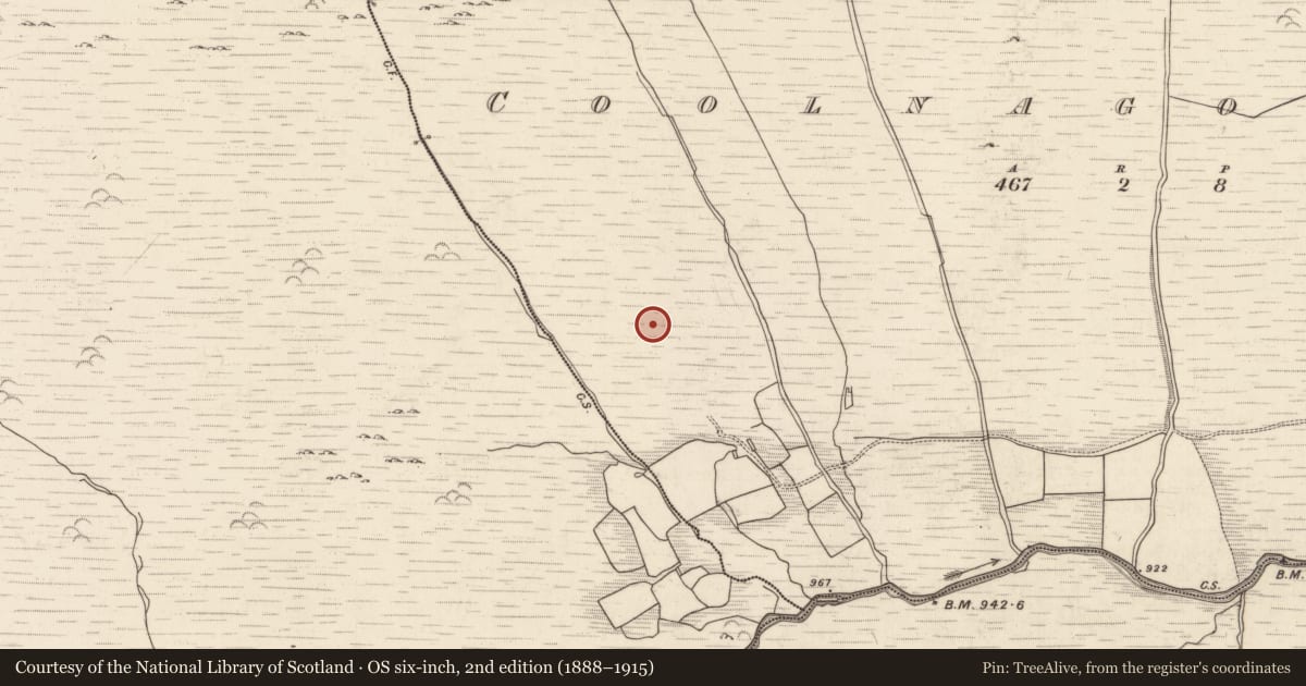 Ordnance Survey six-inch map, 2nd edition (1888–1915) covering the location of Enclosure, Coolnagoppoge, County Kerry, with a pin at the register's coordinates
