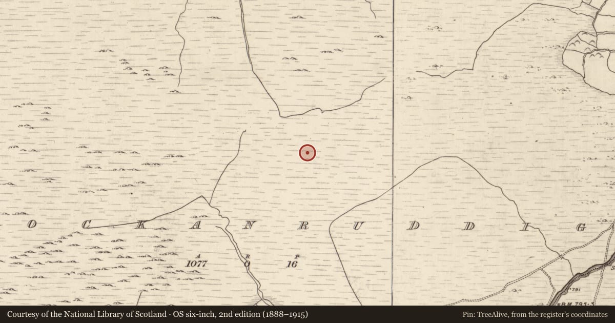 Ordnance Survey six-inch map, 2nd edition (1888–1915) covering the location of Enclosure, Knockanruddig, County Kerry, with a pin at the register's coordinates