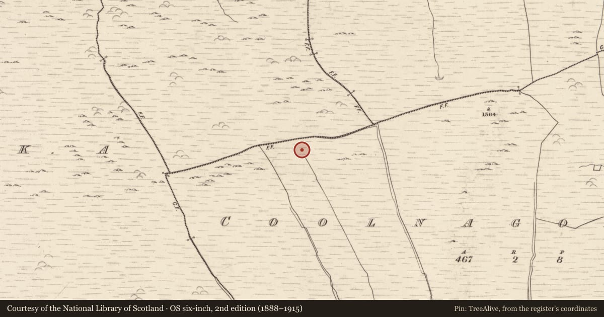 Ordnance Survey six-inch map, 2nd edition (1888–1915) covering the location of Structure, Coolnagoppoge, County Kerry, with a pin at the register's coordinates