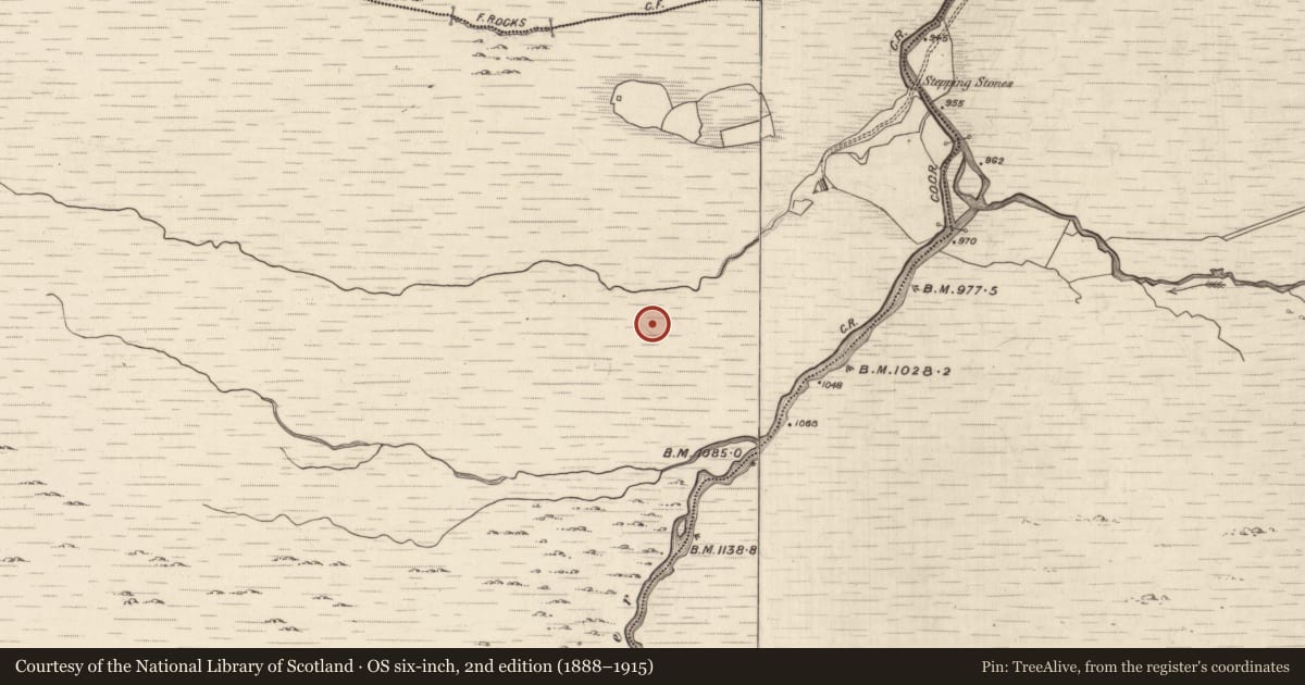 Ordnance Survey six-inch map, 2nd edition (1888–1915) covering the location of Hut site, Ballagh, County Kerry, with a pin at the register's coordinates