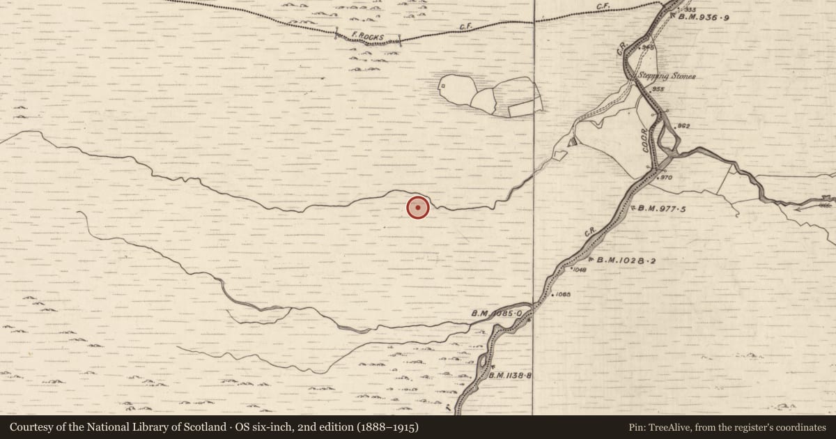 Ordnance Survey six-inch map, 2nd edition (1888–1915) covering the location of Hut site, Ballagh, County Kerry, with a pin at the register's coordinates