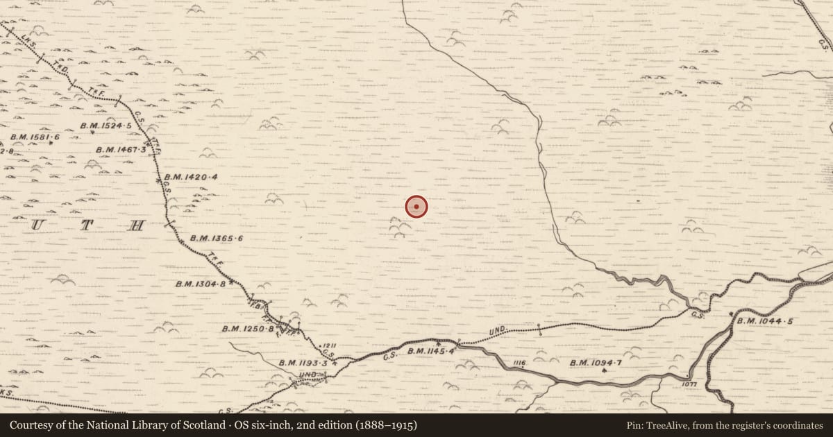 Ordnance Survey six-inch map, 2nd edition (1888–1915) covering the location of Megalithic tomb - wedge tomb, Barnastooka, County Kerry, with a pin at the register's coordinates