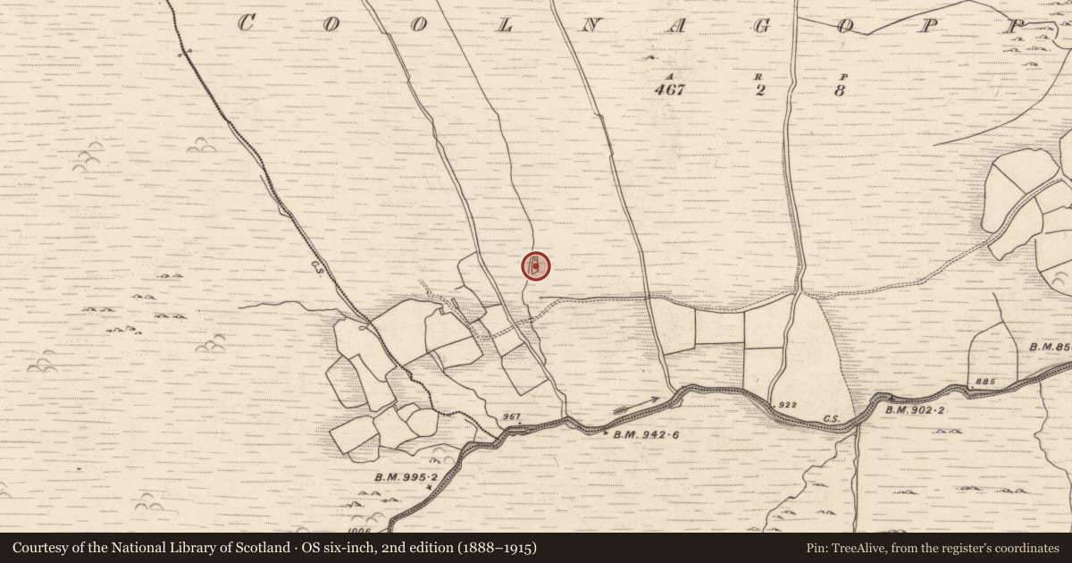 Ordnance Survey six-inch map, 2nd edition (1888–1915) covering the location of Enclosure, Coolnagoppoge, County Kerry, with a pin at the register's coordinates