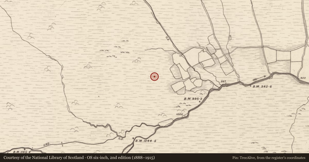 Ordnance Survey six-inch map, 2nd edition (1888–1915) covering the location of Hut site, Barnastooka, County Kerry, with a pin at the register's coordinates