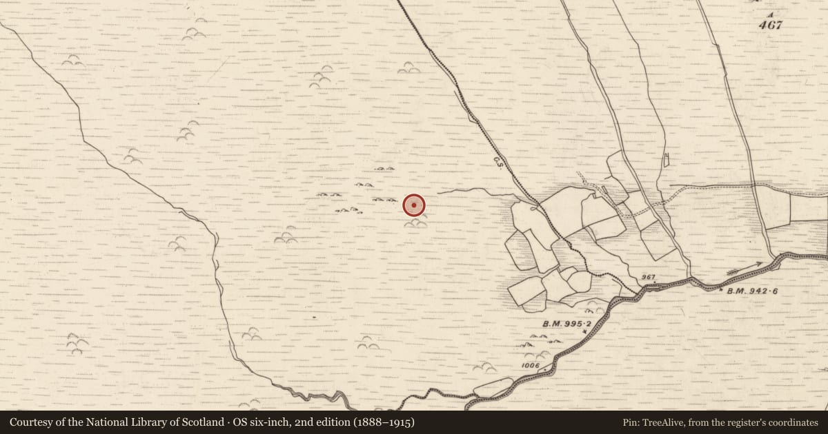 Ordnance Survey six-inch map, 2nd edition (1888–1915) covering the location of Hut site, Barnastooka, County Kerry, with a pin at the register's coordinates