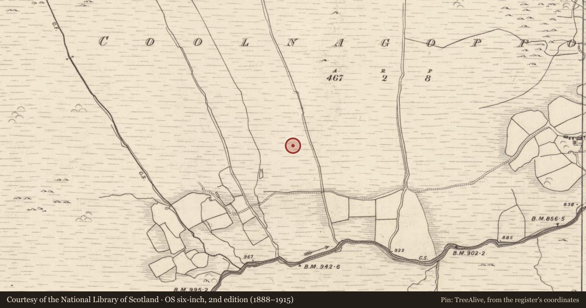 Ordnance Survey six-inch map, 2nd edition (1888–1915) covering the location of Hut site, Coolnagoppoge, County Kerry, with a pin at the register's coordinates