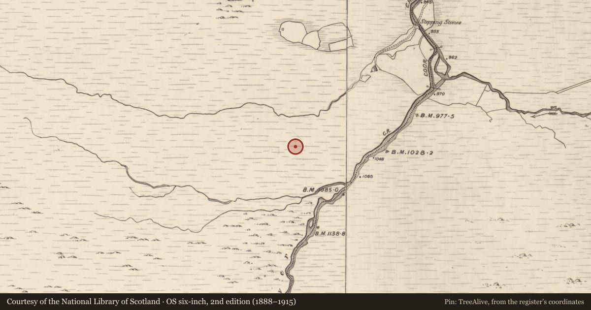 Ordnance Survey six-inch map, 2nd edition (1888–1915) covering the location of Hut site, Ballagh, County Kerry, with a pin at the register's coordinates