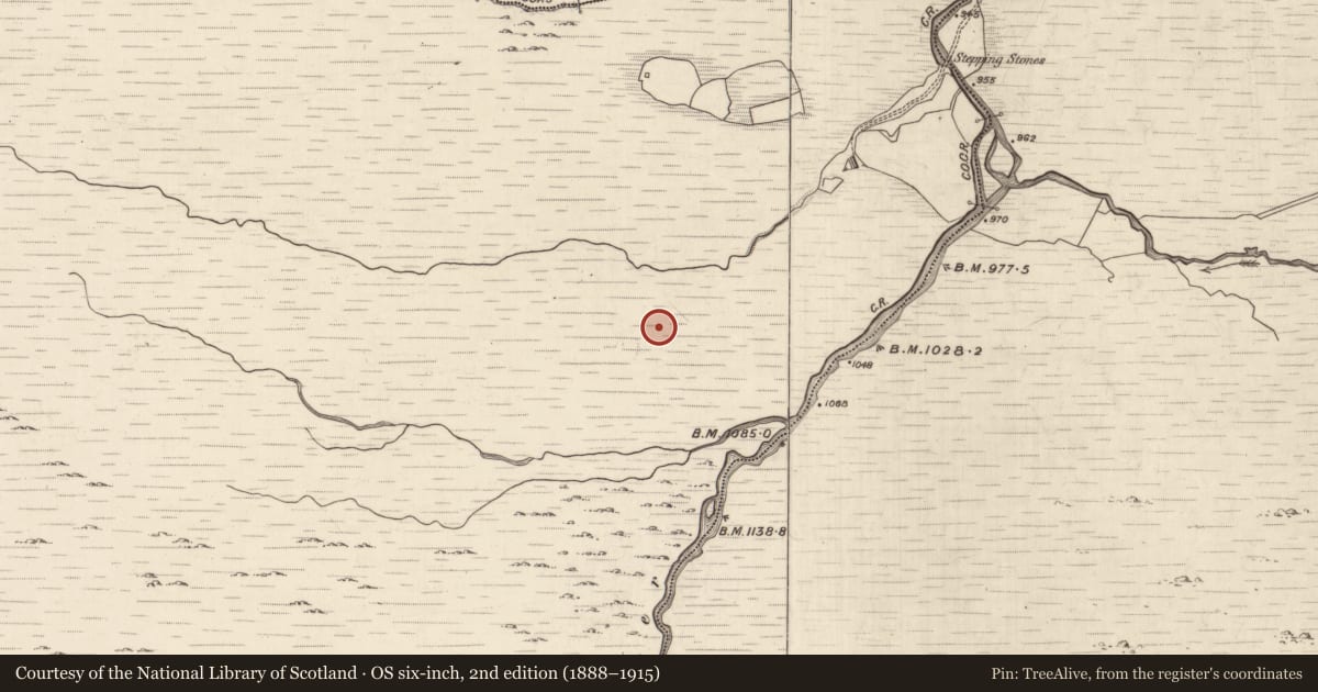 Ordnance Survey six-inch map, 2nd edition (1888–1915) covering the location of Hut site, Ballagh, County Kerry, with a pin at the register's coordinates