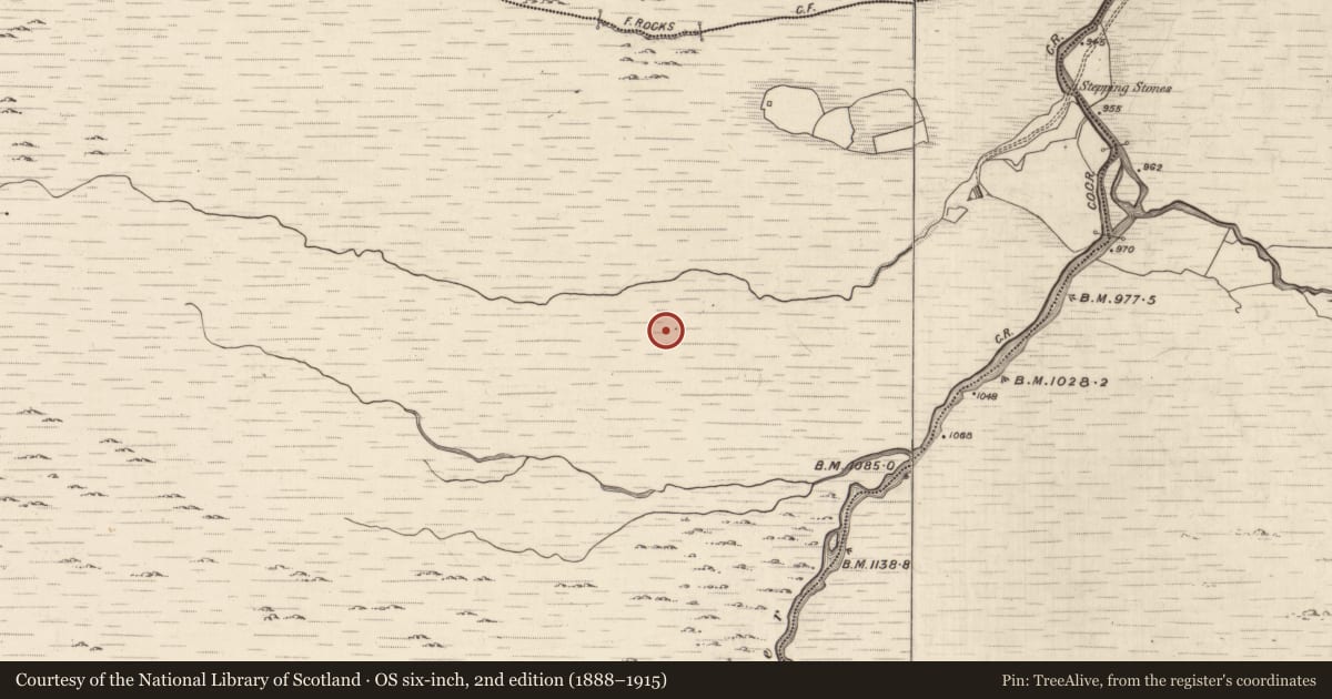 Ordnance Survey six-inch map, 2nd edition (1888–1915) covering the location of Hut site, Ballagh, County Kerry, with a pin at the register's coordinates