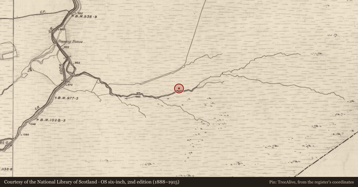 Ordnance Survey six-inch map, 2nd edition (1888–1915) covering the location of Hut site, Grousemount, County Kerry, with a pin at the register's coordinates