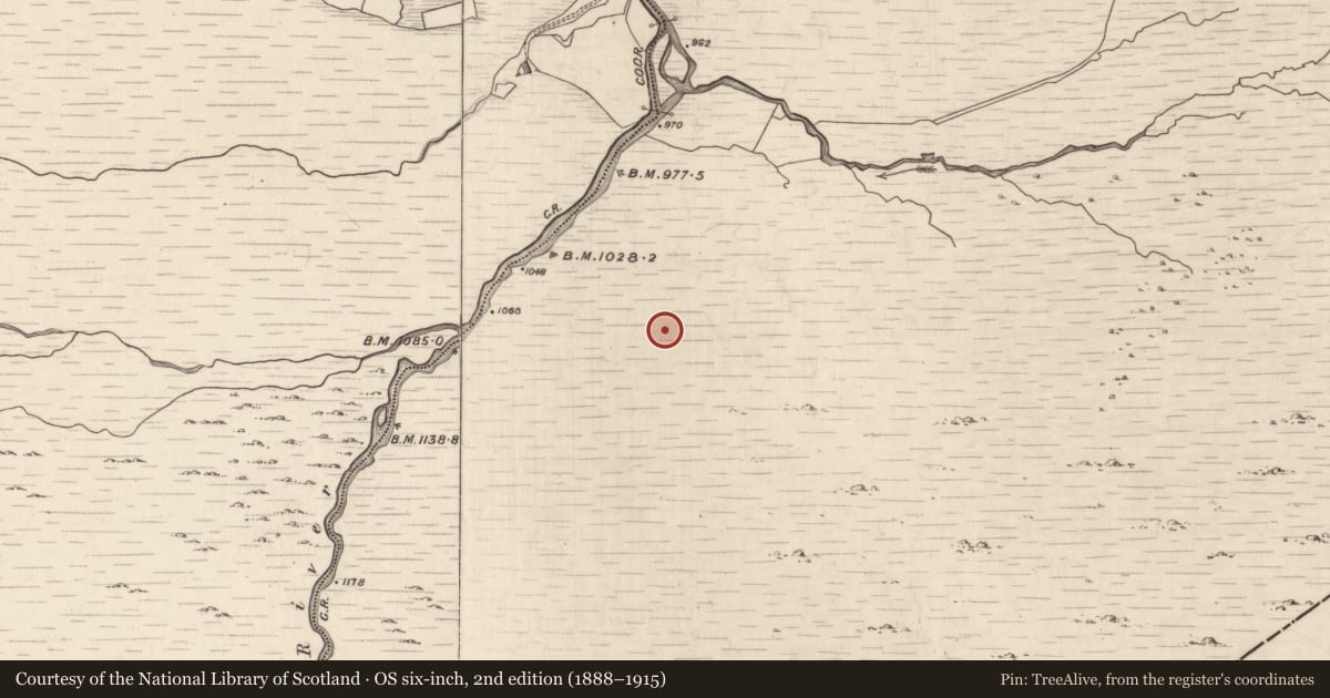 Ordnance Survey six-inch map, 2nd edition (1888–1915) covering the location of Field boundary, Grousemount, County Kerry, with a pin at the register's coordinates