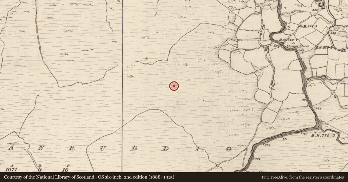 Ordnance Survey six-inch map, 2nd edition (1888–1915) covering the location of Hut site, Knockanruddig, County Kerry, with a pin at the register's coordinates
