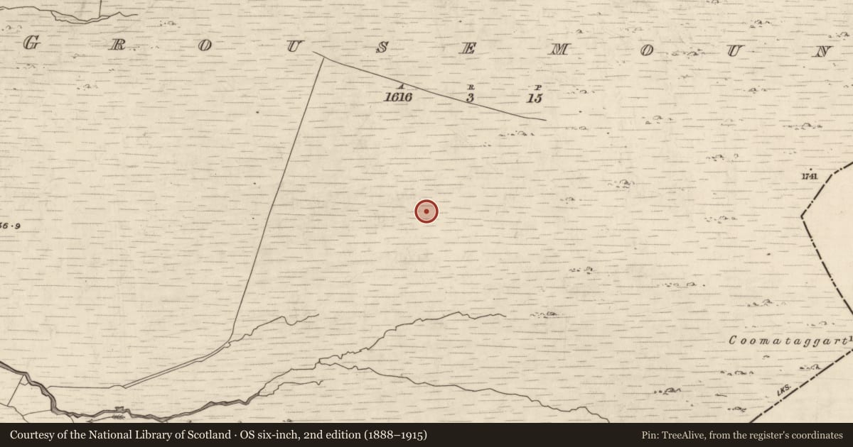 Ordnance Survey six-inch map, 2nd edition (1888–1915) covering the location of Hut site, Grousemount, County Kerry, with a pin at the register's coordinates