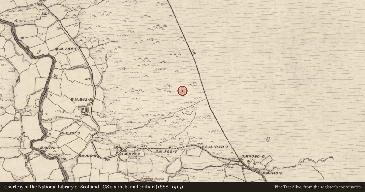 Ordnance Survey six-inch map, 2nd edition (1888–1915) covering the location of Hut site, Grousemount, County Kerry, with a pin at the register's coordinates