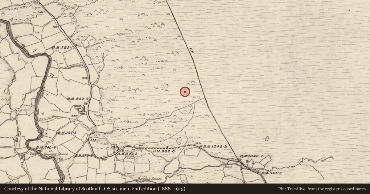 Ordnance Survey six-inch map, 2nd edition (1888–1915) covering the location of Hut site, Grousemount, County Kerry, with a pin at the register's coordinates