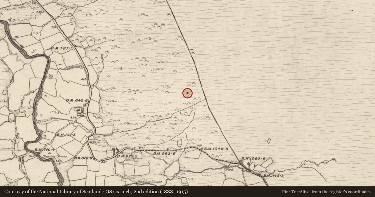Ordnance Survey six-inch map, 2nd edition (1888–1915) covering the location of Hut site, Grousemount, County Kerry, with a pin at the register's coordinates