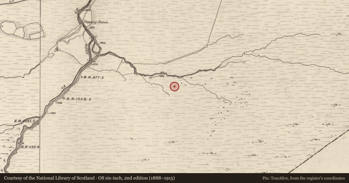 Ordnance Survey six-inch map, 2nd edition (1888–1915) covering the location of Hut site, Grousemount, County Kerry, with a pin at the register's coordinates