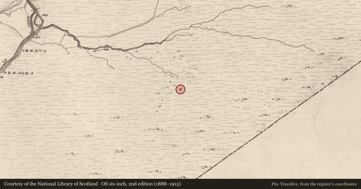Ordnance Survey six-inch map, 2nd edition (1888–1915) covering the location of Hut site, Grousemount, County Kerry, with a pin at the register's coordinates