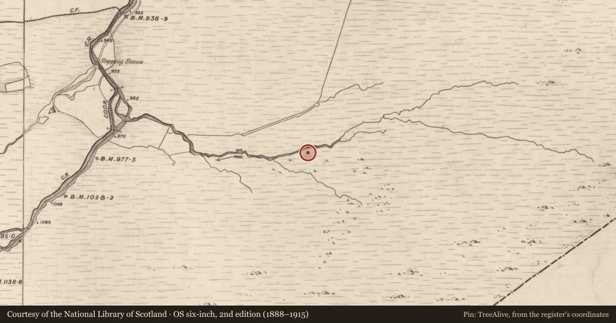 Ordnance Survey six-inch map, 2nd edition (1888–1915) covering the location of Hut site, Grousemount, County Kerry, with a pin at the register's coordinates