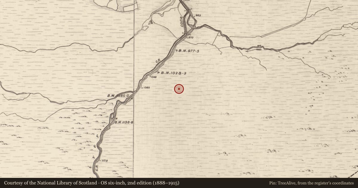 Ordnance Survey six-inch map, 2nd edition (1888–1915) covering the location of Hut site, Grousemount, County Kerry, with a pin at the register's coordinates