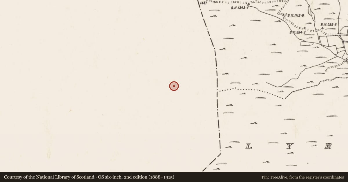 Ordnance Survey six-inch map, 2nd edition (1888–1915) covering the location of Hut site, Grousemount, County Kerry, with a pin at the register's coordinates