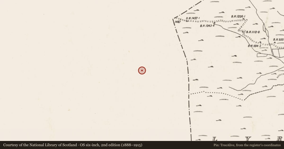 Ordnance Survey six-inch map, 2nd edition (1888–1915) covering the location of Rock shelter, Grousemount, County Kerry, with a pin at the register's coordinates