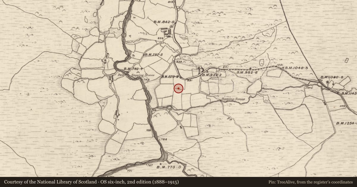 Ordnance Survey six-inch map, 2nd edition (1888–1915) covering the location of Hut site, Grousemount, County Kerry, with a pin at the register's coordinates