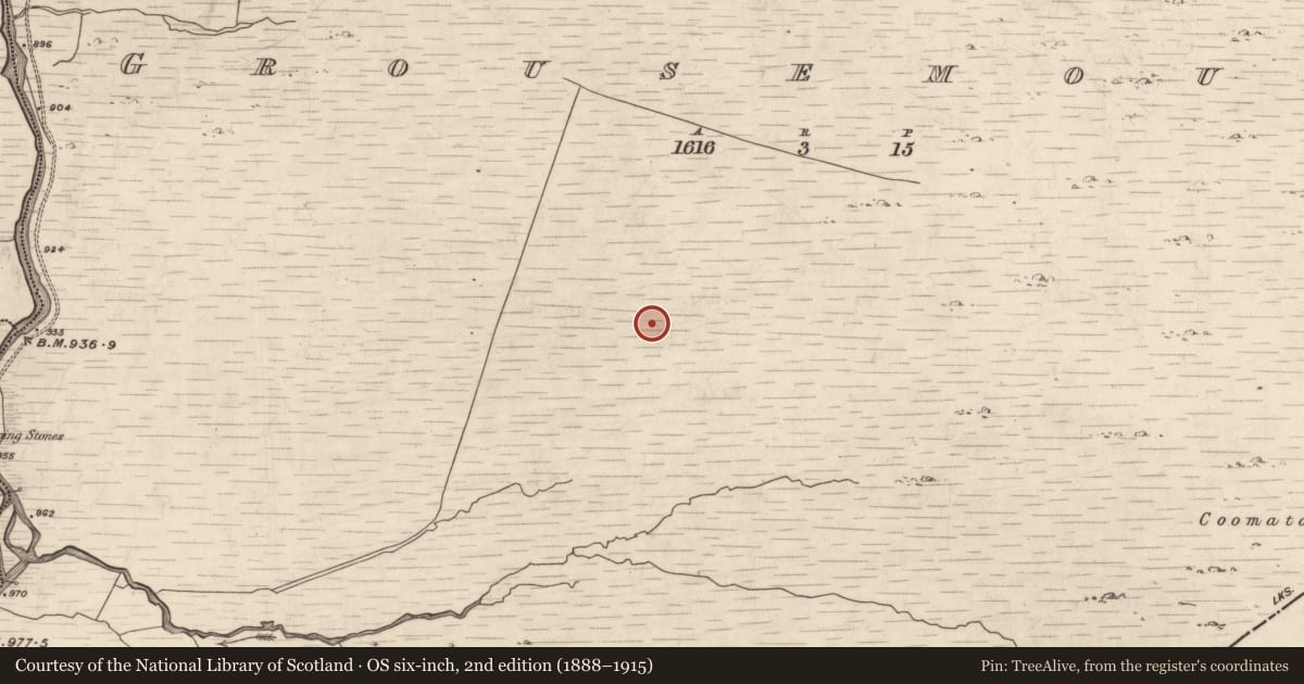 Ordnance Survey six-inch map, 2nd edition (1888–1915) covering the location of Hut site, Grousemount, County Kerry, with a pin at the register's coordinates